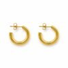 gold hoops